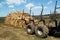 Logging or Timber Industry Resources