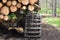 Logging Truck with Chains on the Tires