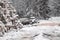 Logging wood in winter forest landscape pine