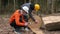 Logging workers finish work in forest manager receives message in earpiece