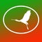 Logo Banner Image Flying Bird Spoonbill in Oval Shape on Green Orange Background