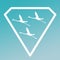Logo Banner Image Flying Flamingo Birds  in Diamond Shape on Turquoise  Background