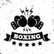 Logo for a boxing