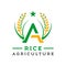 Logo design letter A rice farming