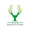 Logo design Y letter rice farm