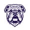 Logo English Bulldog Dog On Isolated Tansparent Background, Png. Generative AI