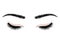 Logo eyelashes. The eyes of the girl with makeup. Vector illustration of eyebrows and eyelashes. Figure for a beauty