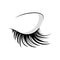 Logo of eyelashes. Stylized hair. Abstract lines of triangular shape. Black and white vector illustration.