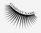 Logo of eyelashes. Stylized hair. Abstract lines of triangular shape. Black and white vector illustration.