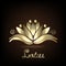 Logo gold 3D lotus people flower symbol of yoga vector image illustration graphic design