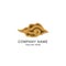 Logo gold batik mega mendung cloud traditional company finance authentic luxury