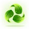 Logo green leafs recycle symbol vector