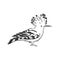 Logo hoopoe upupa epops . Bird vector illustration. Isolated on white background., hoopoe bird, vector sketch illustration
