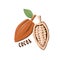 Logo icon design Cocoa farm