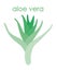 Logo icon of the medicinal plant aloe vera