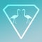 Logo Image Bird Flamingo Pair standing in a Diamond Shape on Turquoise Background