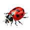 Logo Ladybug On Isolated Tansparent Background, Png. Generative AI