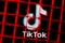 The logo of the social network TikTok behind bars. The concept of TikTok censorship and prohibition