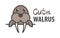 Logo template with cute curious walrus. Vector logo design arctic animal template for zoo, veterinary clinics, etc. Cartoon animal