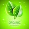 Logo of two green leaves for bio organic ecological products