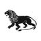 Logo vector lion, black silhouette on a white background.