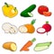 Logo vegetables