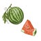 logo for whole ripe red fruit watermelon, green stem, cut half, sliced slice berry with red flesh.