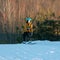 Logoisk. Belarus. 01.09.2023. A teenage snowboarder in special equipment climbs uphill on a drag lift.