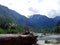 Logs at a bank of Baker River in North Cascades