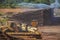 Logs being sprayed with water to prevent insect damage  on an extremely hot day - equipment carrying logs - blur due to mist and