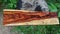 Logs of Burmese rosewood, Exotic cocobolo wood beautiful pattern For Crafts