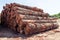 Logs extracted from Amazon forest