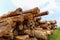 Logs extracted from Amazon rainforest