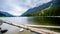 Logs floating in Duffy Lake