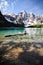 Logs floating on Moraine Lake