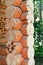 Logs folded in a blockhouse - the wall of a wooden house