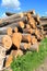 Logs forest products