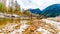 Logs stuck in the sand and Iron Oxide Stained rocks lining the shore of the Squamish River in British Columbia, Canada