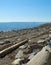 Logs washed up on shore