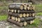 Logs of wood stacked in a saw-mill