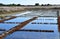Loix, France - september 26 2016 : salt evaporation pond