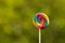 Lollipop, Big Round Rainbow colored lollipop isolated grass Green background