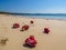 Lombok - Corals on the beach