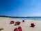 Lombok - Corals on the beach