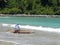 LOMBOK, INDONESIA - CIRCA 2014: A fisherman takes his boat out into the sea on the island of Lombok in indonesia