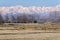 Lomellina countryside farms panorama. Color image