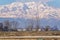 Lomellina countryside farms panorama. Color image