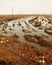 Lomellina countryside winter panorama. Color image