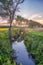 Lomellina: summer sunset over a paddy field. Color image.