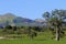 Lompoc California farms mountains